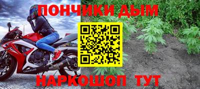 шишки Бузулук