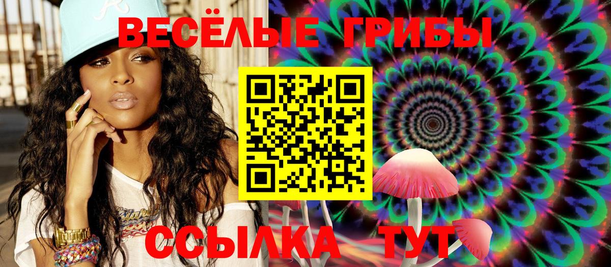 Раменское  Псилоцибиновые грибы Cubensis  Вход с VPN 